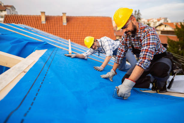 Best Best Roofing Contractors  in Franklin Furnace, OH