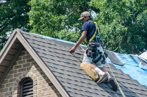 Best Gutter Installation and Roofing  in Franklin Furnace, OH